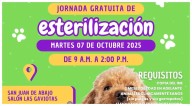 Este martes habrá jornada gratuita de esterilización en San Juan de Abajo, Bahía de Banderas