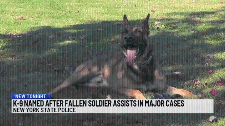 State Police K-9 honors fallen NY Guardsman