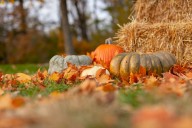 What’s open and closed on Thanksgiving Monday