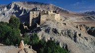 Gran descubrimiento de los investigadores en los muros de las fortalezas centenarias: dos nuevas especies