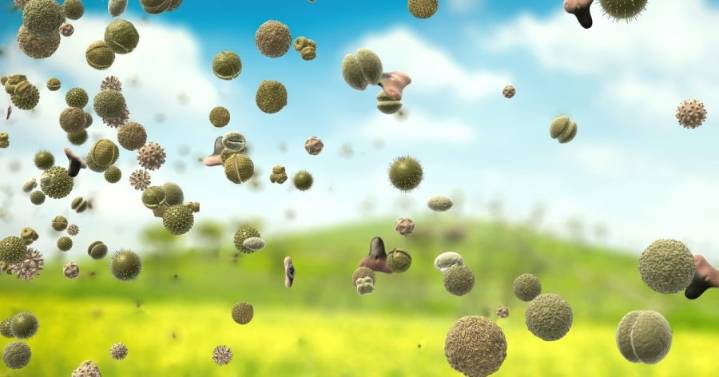 Seasonal allergies may increase suicide risk: Research
