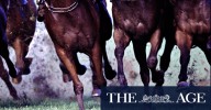Race-by-race preview and tips for Taree on Friday