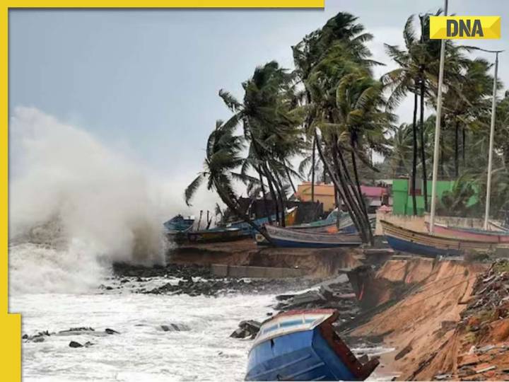Cyclone Montha: One dead, thousands evacuated as storm weakens over coastal Andh