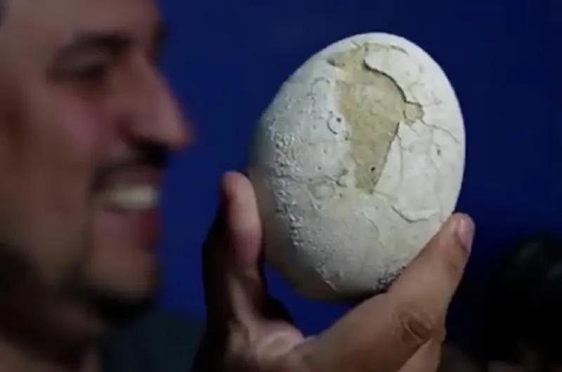 Científicos del CONICET encontraron un huevo de dinosaurio carnívoro durante una transmisión en vivo