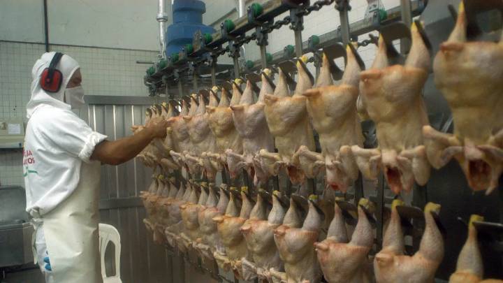 Exportaciones de carne aviar: En Salta, la suba "no es representativa"