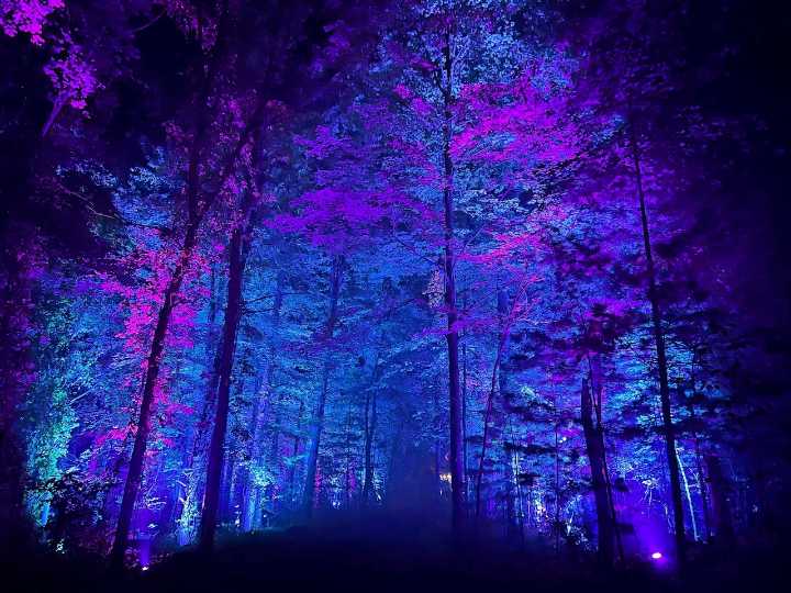 Grand Rapids Halloween 2025: Haunted farms, zombie runs and more