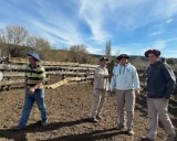 Jornada de sanidad en Polcahue fortalece el plantel ganadero y el desarrollo sostenible