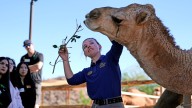 The Living Desert hosts career exploration day for students from Desert Mirage High
