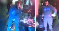 Video shows moment deranged Carl Wild squirts bleach and smashes up bar as revellers flee