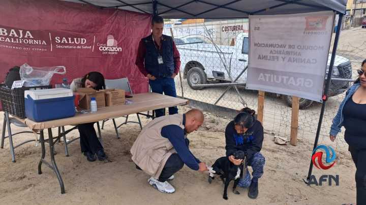 Realizan acciones contra la rickettsiosis en colonias de la Zona Este