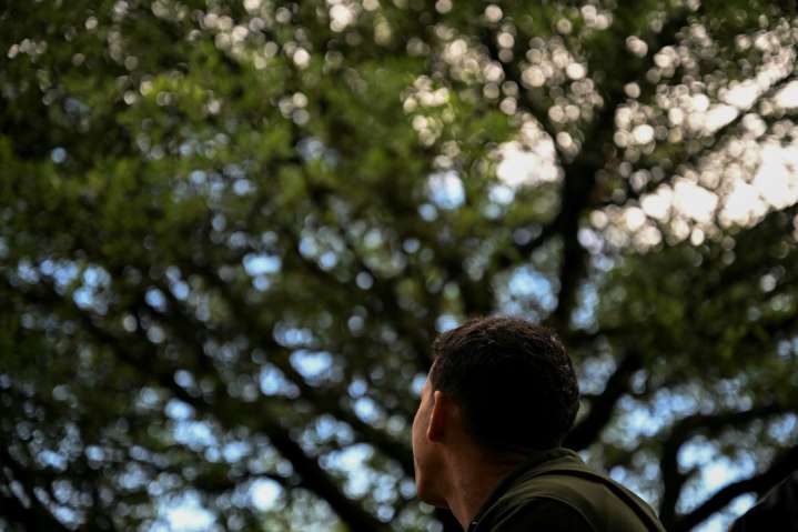 La migración venezolana crea un mercado de consumo de 10.500 millones de dólares en América Latina, según un estudio