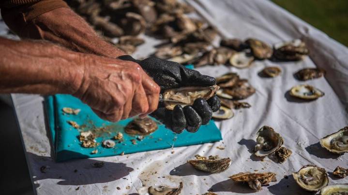 2025 Oyster Fest guide: Things to do and what's new