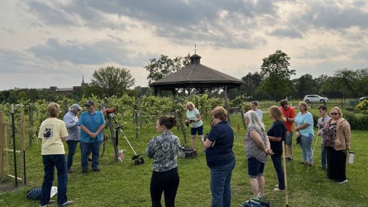 New Monroe club plants pumpkins and seeds of inclusion