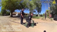 WATCH: Police officers wrestle loose emu in Arizona