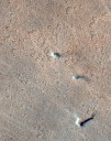 Whirlwind ‘dust devils’ reveal blustery conditions at Martian surface
