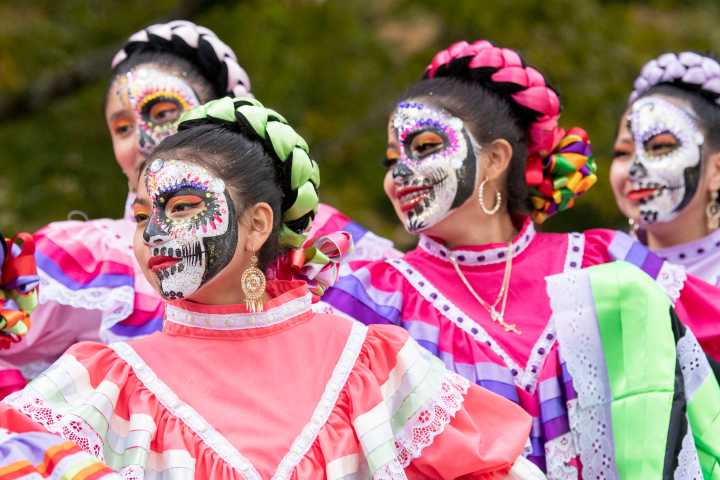 Altars are at the heart of Cheekwood’s Dia de los Muertos celebration