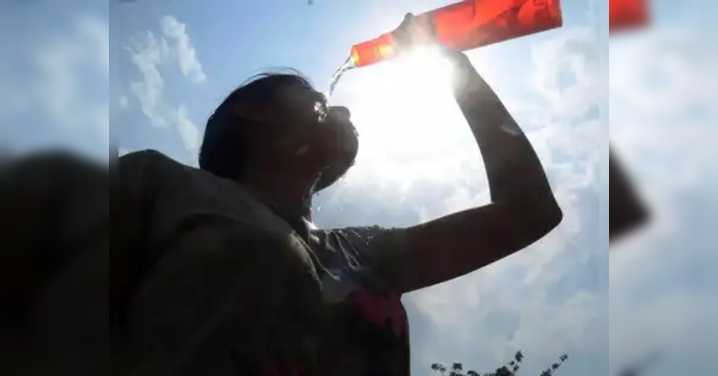 People in India each saw 20 heatwave days in 2024, 6.5 linked with climate change: Lancet report