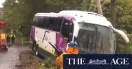 Passengers rescued after bus goes down embankment in Victoria