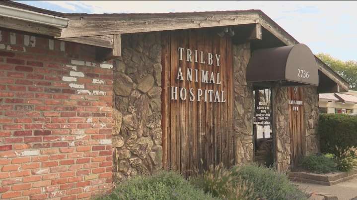 Toledo veterinarian closes clinic after more than 40 years of service