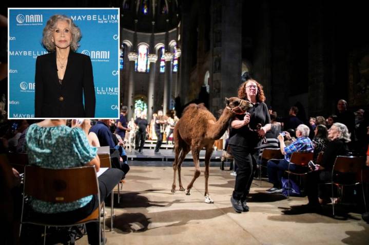 Jane Fonda pops up at NYC's annual animal blessing event -- then chows down on some Harlem fried chicken