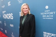 Picking On Amy Poehler Ain't It