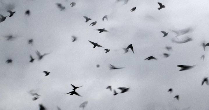 Waterloo Region Record morning update for Oct 31