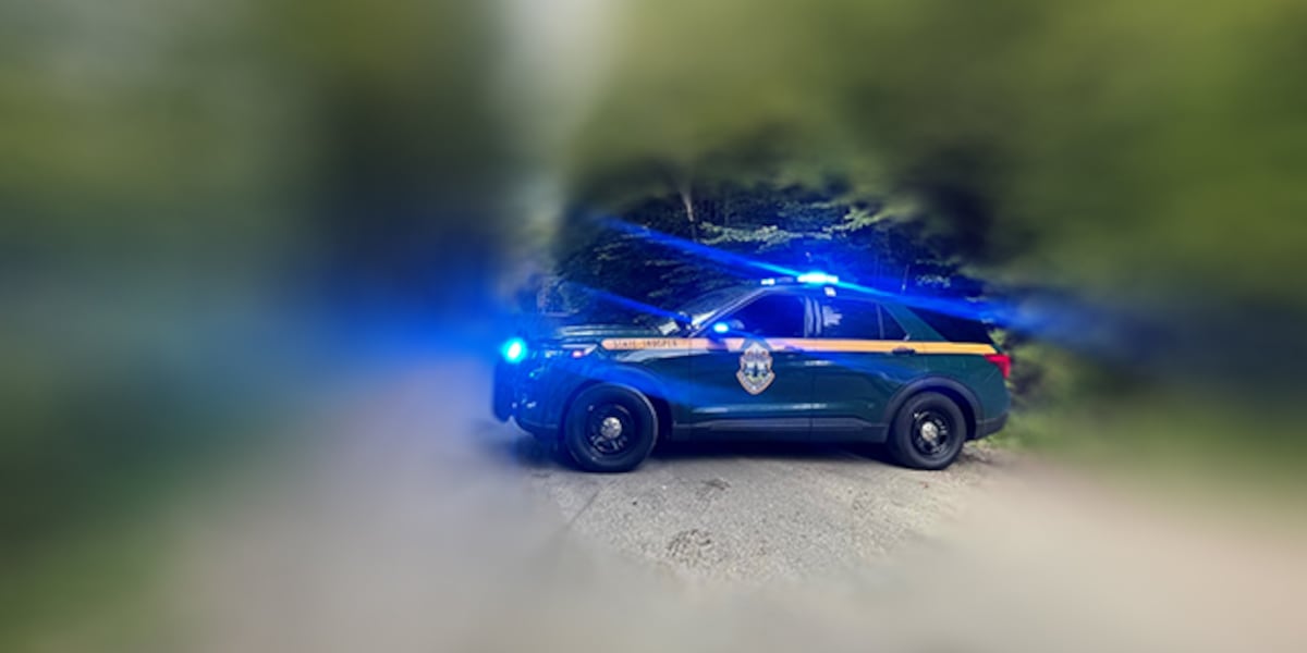 Brandon driver dies after striking utility pole