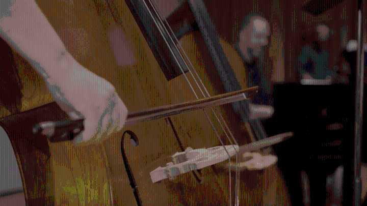 Palm Beach Symphony Records 58-Musician Version of Panthers Goal Song