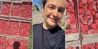 El ingenio argentino que arrasa en TikTok: las frutillas de piedra que engañaron a todos en Santa Fe