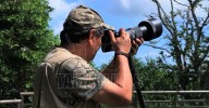 Tampico entra al radar mundial con avistamiento de aves