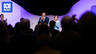 WA Liberals handed 78 recommendations to improve following 2025 state election campaign