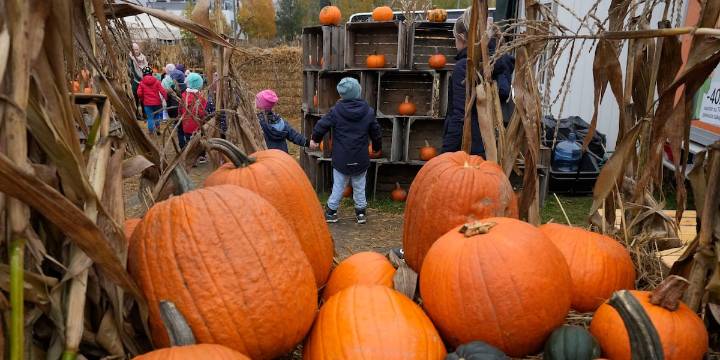 Bowling Green, Warren County host ‘The Great Pumpkin Drop’