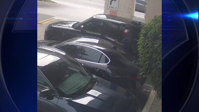 Burglar steals over $13K in valuables from car in South Miami parking lot