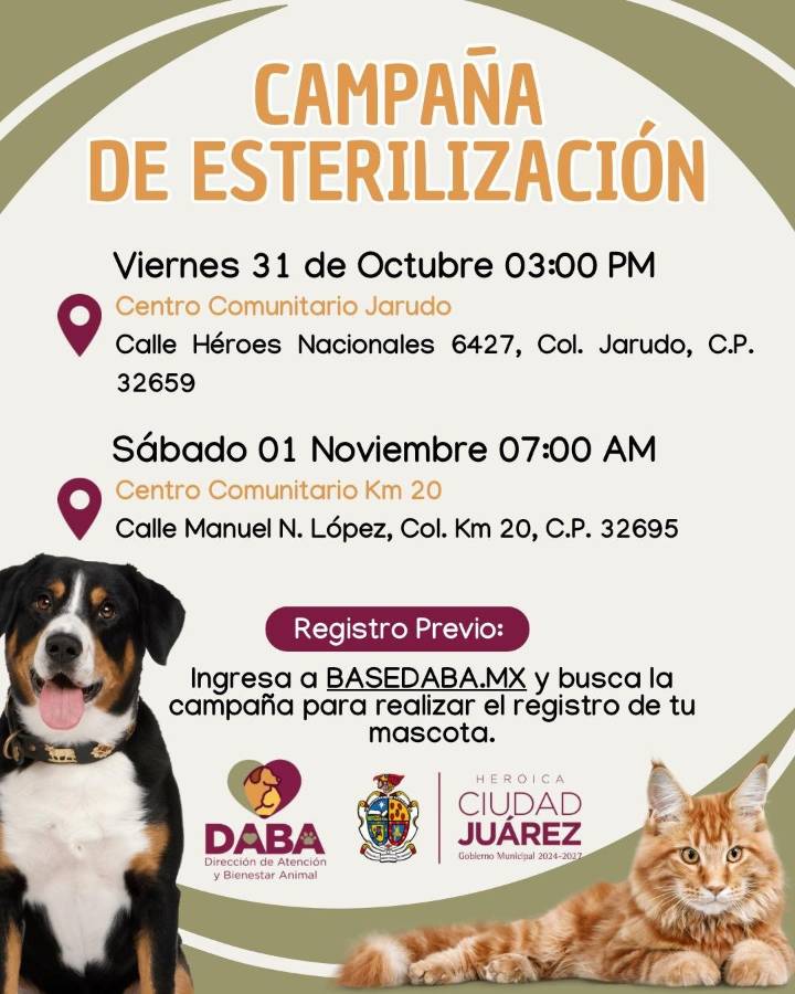 Realizará DABA campaña de esterilización gratuita para mascotas este viernes y sábado