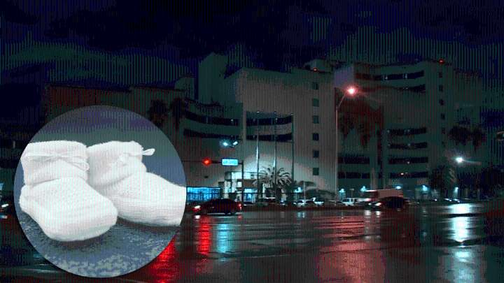 Embarazo en la cárcel sin contacto humano: la increíble historia de Daisy Link