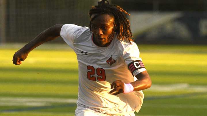 From hat tricks to aces, here's our list of top performers