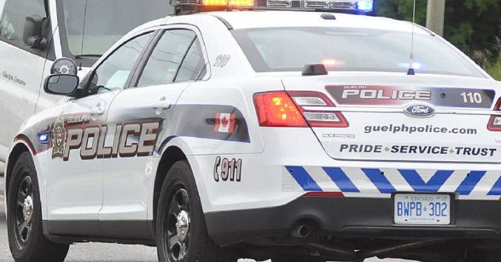 Police hunt for suspect in wire theft, Guelph outage