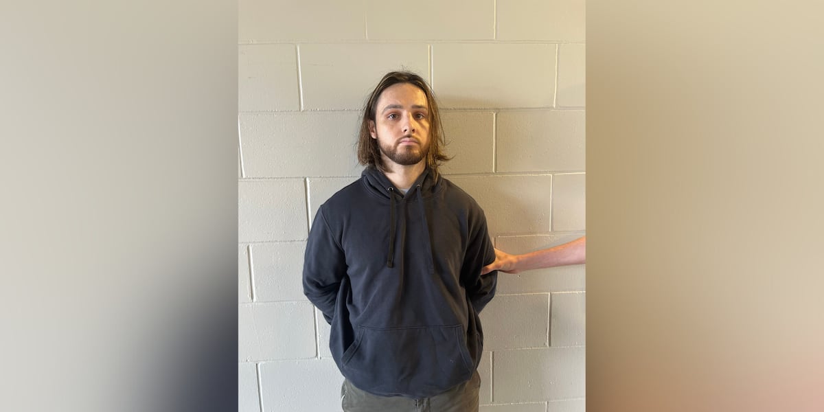 Man accused of starting devastating Palisades fires pleads not guilty
