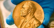 Three scientists share Nobel Prize in chemistry