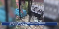 Wisconsin organizations look for help after taking in nearly 400 animals