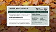 Clark County residents encouraged to dispose of fallen leaves properly