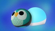 Amazon has their 5th Gen Kids Owl Echo Dots with Echo Glow 50% off right now