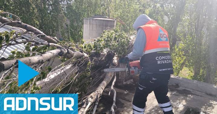 Las impactantes imágenes del temporal de viento en Comodoro: un domo terminó “volando” y un árbol cayó sobre una casa