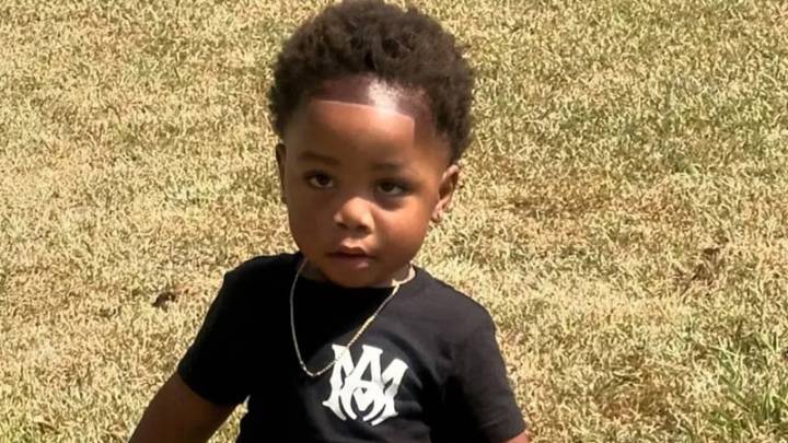 2-year-old Georgia mauled to death by dogs after being left unattended by babysitter
