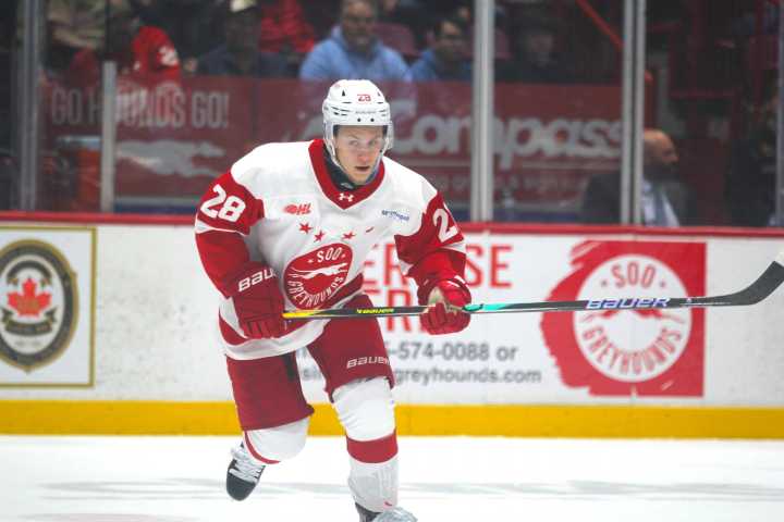 Soo Greyhounds’ Chris Brown putting injury-riddled season behind him with early success