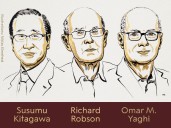Premio Nobel de Química 2025: pioneros en desarrollo de estructuras metal