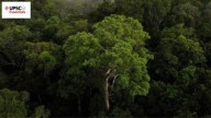 UPSC Essentials | Daily subject-wise quiz : Environment and Geography MCQs on Amazon rainforest, Sir Creek and more (Week 130)