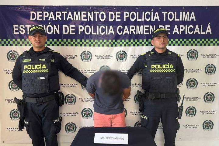 Indignación en el Tolima: joven mató a machetazos a una perrita