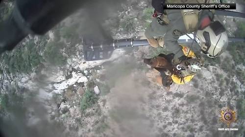 Dog airlifted to safety after falling down Arizona canyon: VIDEO