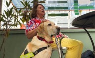 Donald is voted top service dog